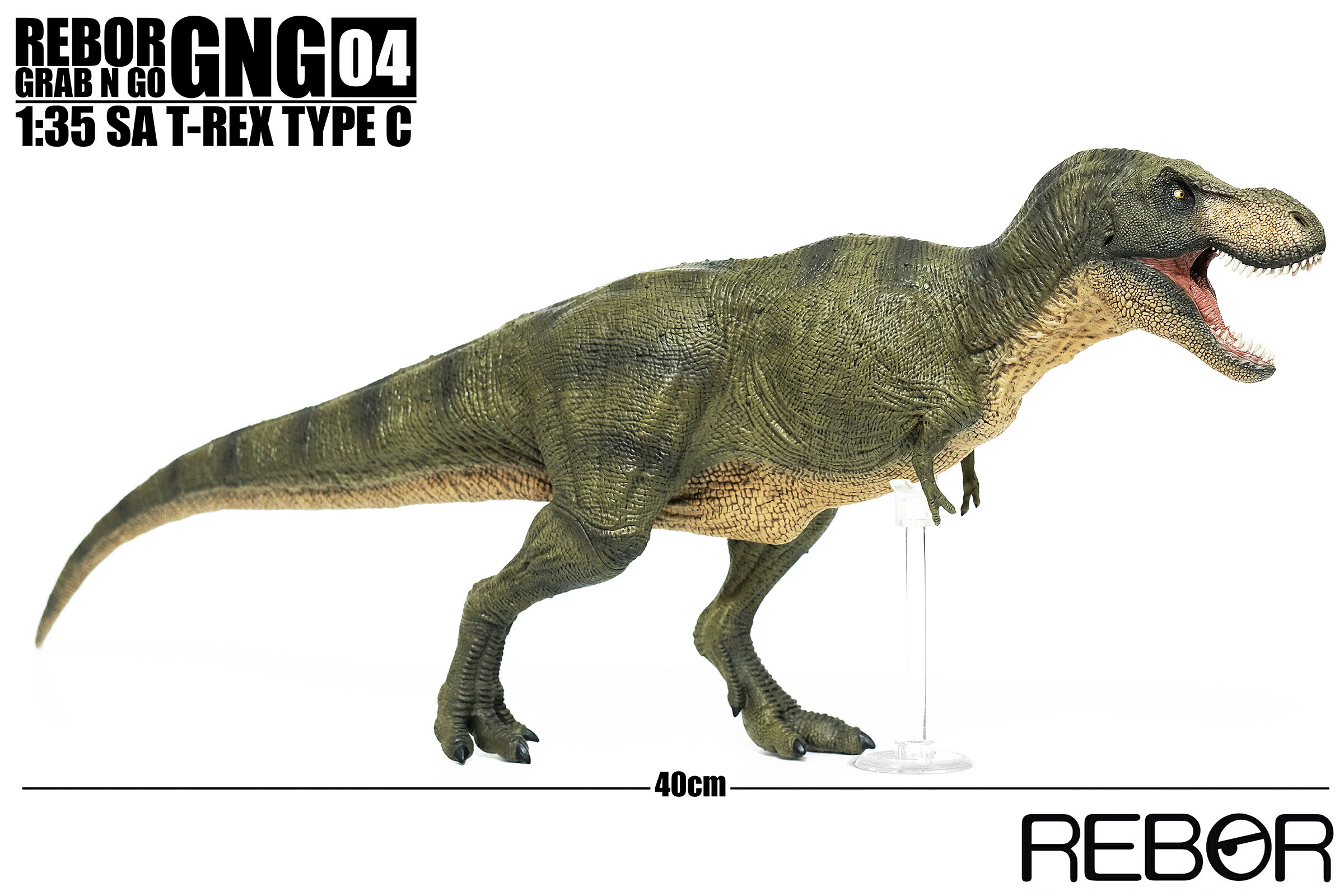 英國 REBOR Grab N Go系列 04 SA T-Rex Type C 玩具 擺飾 模型公仔 恐龍 約40公分