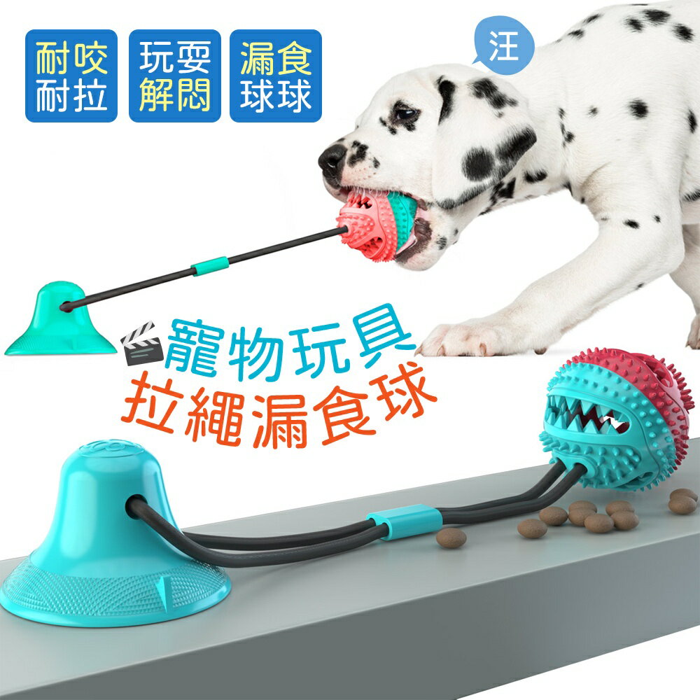 寵物玩具 寵物吸盤拉環(顏色隨機)