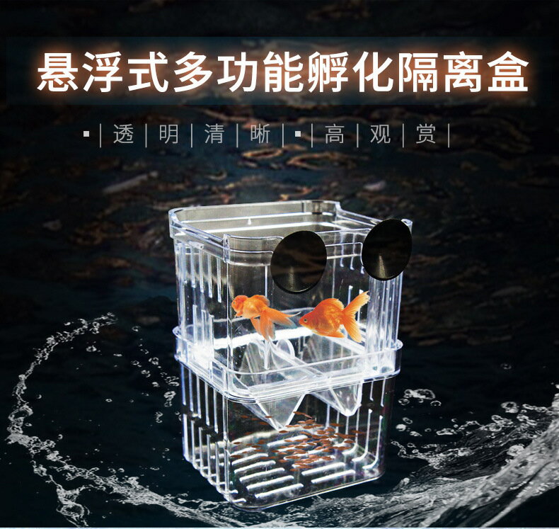 亞克力透明隔離板隔離盒水族箱孵化箱小型熱帶魚繁殖盒斗魚孵化盒