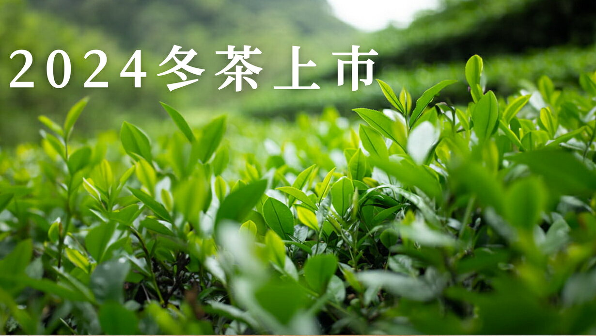 晴天茶園 - 限時優惠好康折扣