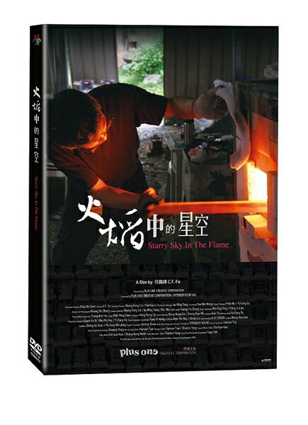 【停看聽音響唱片】【DVD】火焰中的星空