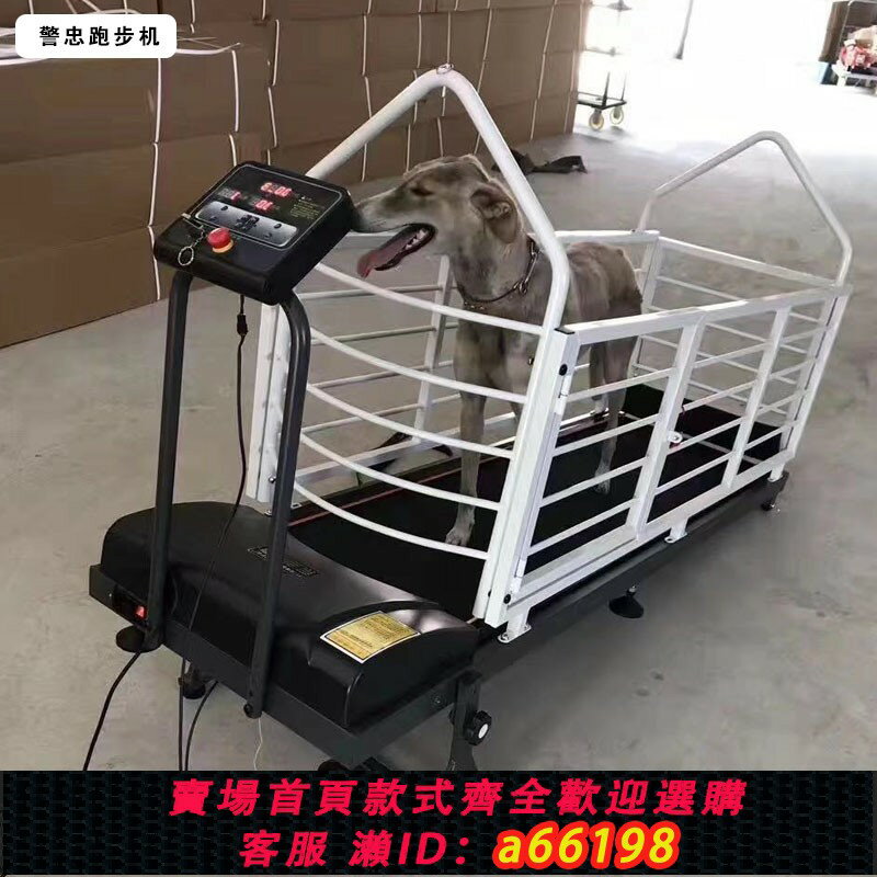 【台灣公司 可開發票】警忠狗狗跑步機寵物跑步機犬用電動跑步機格力犬惠比特格惠跑步機