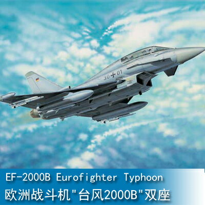 小號手 軍事模型 1/32 歐洲戰鬥機"臺風2000B"雙座 02279