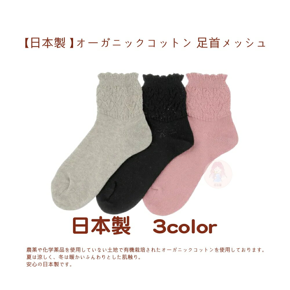 花日屋🌷日本製襪 預購 日本穿搭 純色 捲邊 圖案 3色 日系 玻璃絲襪 時尚 百搭 短襪 長襪 襪子