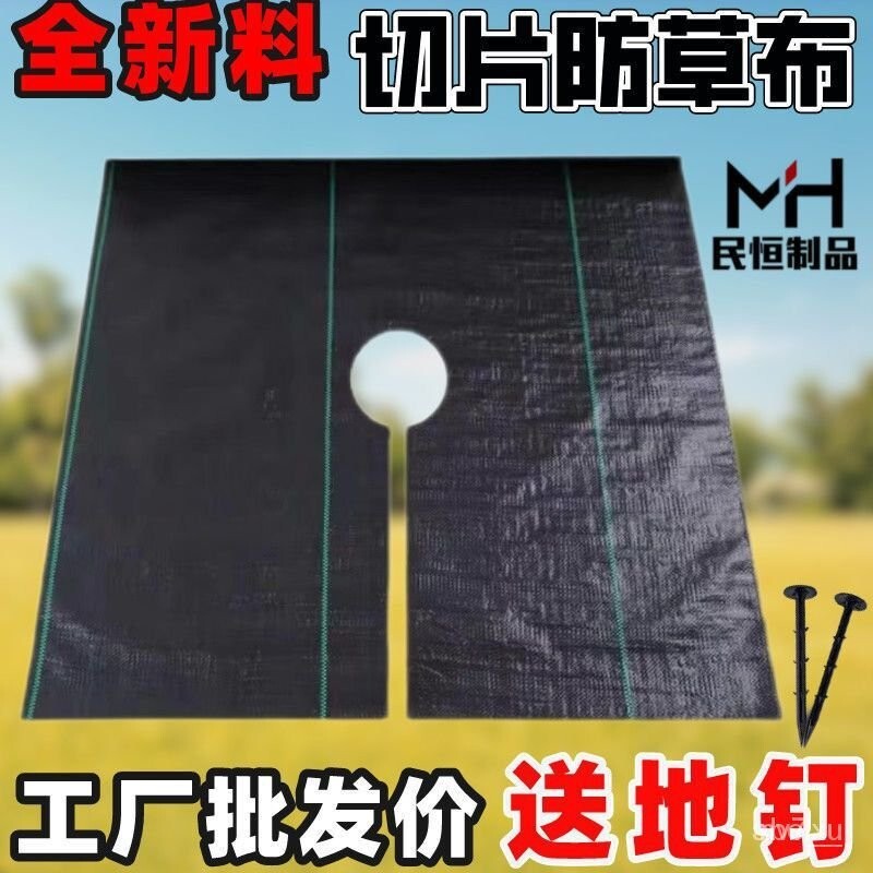 防草佈除草佈蓋草抑草遮草佈透水抗老化園藝地佈果樹大棚打孔切片ts FUVW YGVR