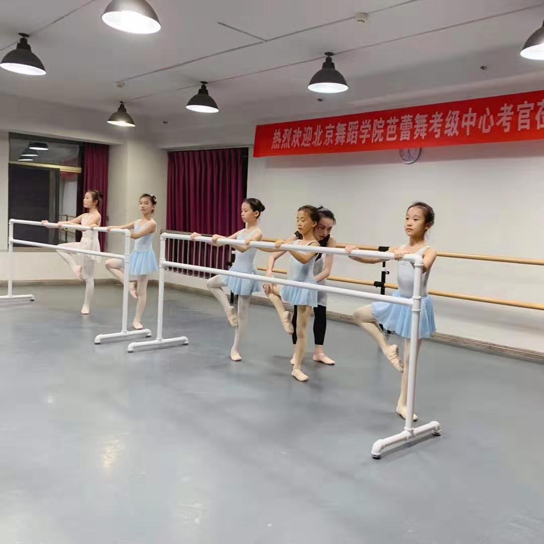 {台灣公司 可開發票 快速出貨}  舞蹈把桿專業家用健身成人兒童移動式壓腿把桿練功杠培訓班教室房 4