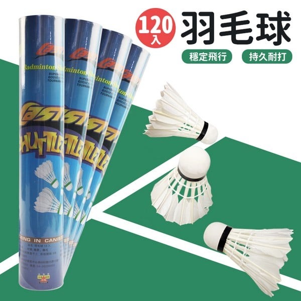 一般 羽毛球 CASTER 羽球 Z-羽球 /一袋10筒入(一筒12個)共120個入(定25) 羽毛球 練習用羽毛球 -群【APP滿額下單10%點數(單一帳號最高1000點)】10/31止