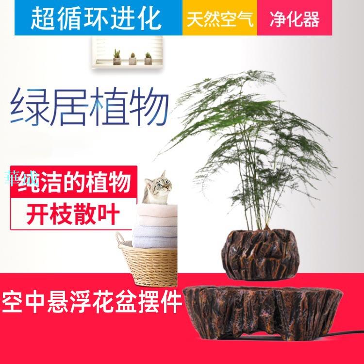 免運 磁懸浮自轉花盆擺件 磁浮植物 空中磁浮盆栽 防輻射懸浮工藝品 漂浮盆栽 抖音爆款 網紅旋轉擺飾創意家居交換禮物