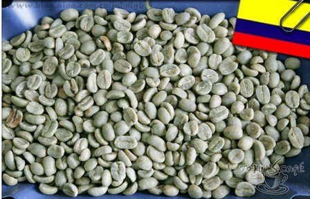 哥倫比亞 popayan 咖啡生豆-1公斤裝【良鎂咖啡精品館】