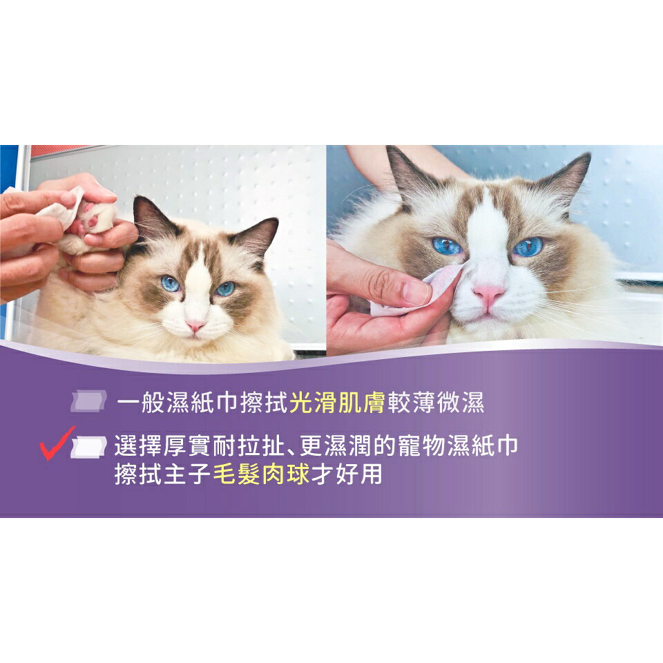 🎁萌寵派對🎁臭味滾 除臭抑菌濕紙巾 50抽 犬用/貓用 濕紙巾 溫和不刺激 純水+蘆薈保濕 幼犬幼貓可用【授權販售】 7