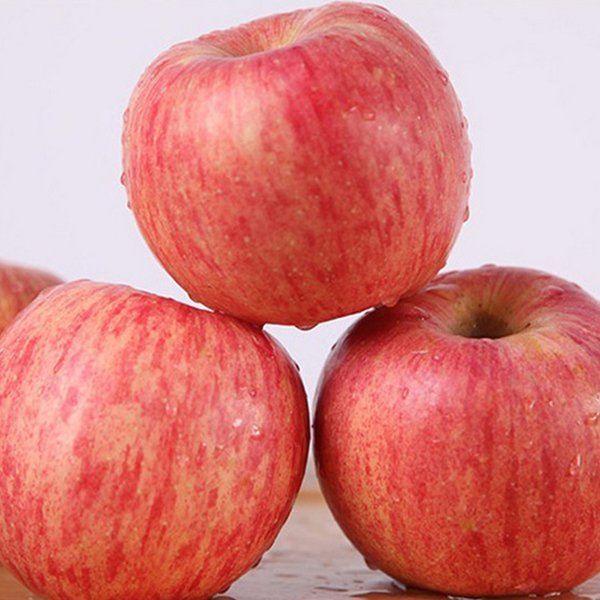 智利空運套袋富士蘋果10kg/箱