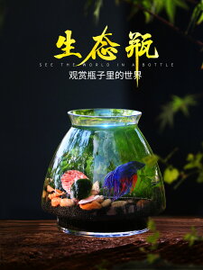 斗魚缸生態瓶魚免換水微景觀玻璃水族箱造景創意辦公桌面生態魚缸（不送魚）