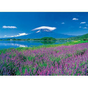 P2-HM52-589 薰衣草原拼圖520片