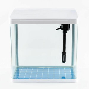 魚缸客廳家用桌面懶人免換水玻璃中小型造景水族箱生態創意缸