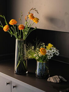 南十字星 輕奢描金透明玻璃花瓶 現代客廳創意水養插花干花器葛蕾