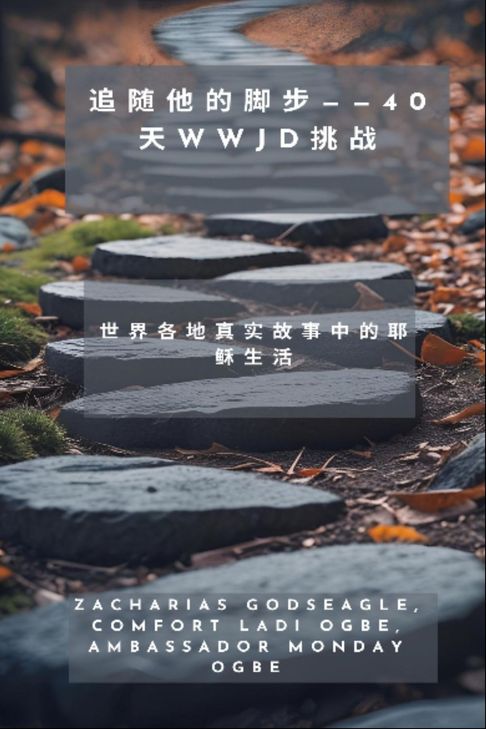 【電子書】追随他的脚步--40天WWJD挑战 - 世界各地真实故事中的耶稣生活