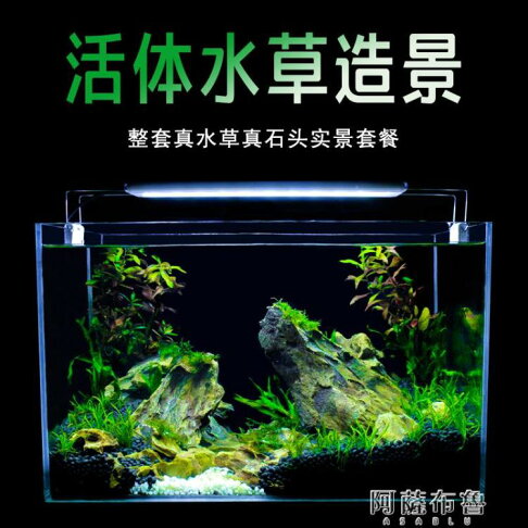 魚缸真水草魚缸水族箱小型客廳辦公室桌面家用生態草缸裝飾布造景套餐 3c樂享直營店 樂天市場rakuten 魚缸真水草魚缸水族箱小型客廳辦公室桌面家用生態草缸裝飾布造景套餐 3c樂享直營店 樂天市場rakuten