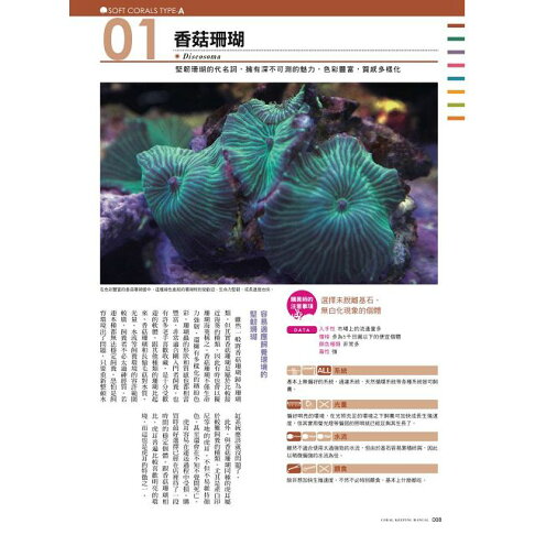 給新手的珊瑚飼育指南 樂天書城直營店 樂天市場rakuten 給新手的珊瑚飼育指南 樂天書城直營店 樂天市場rakuten