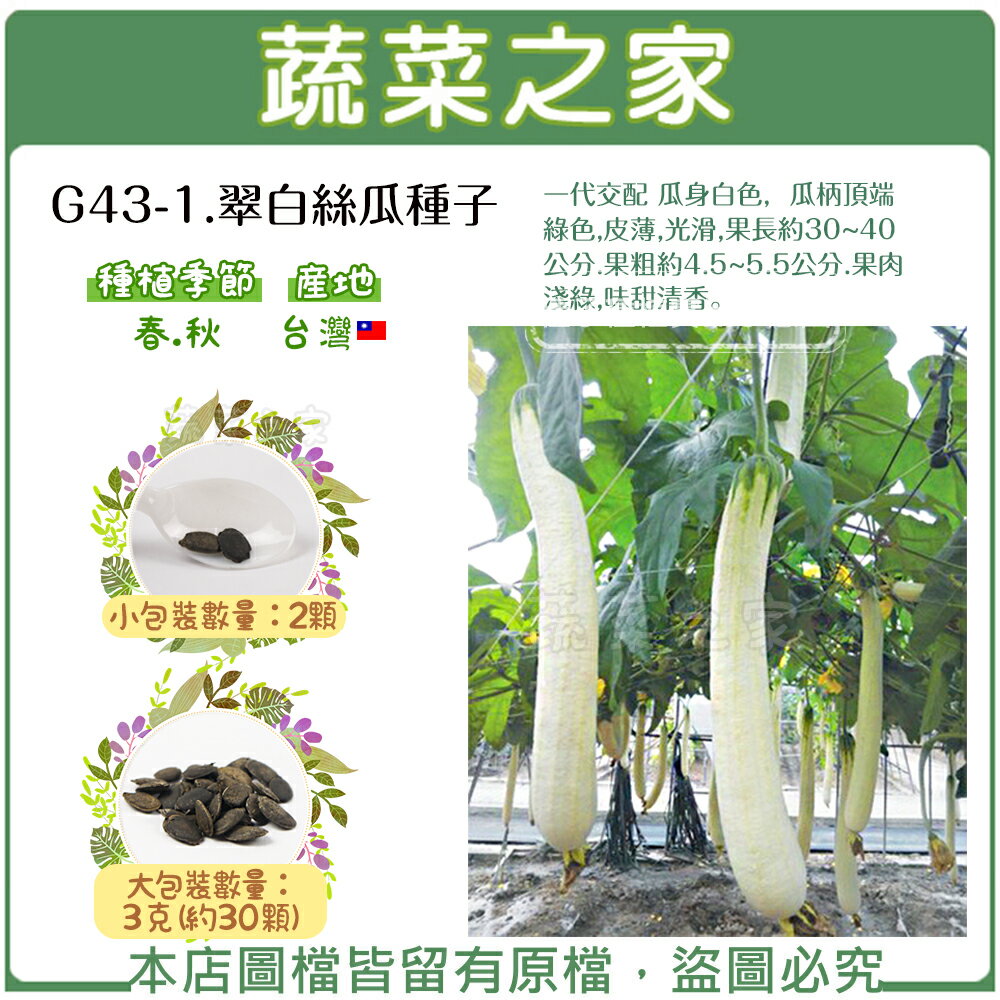 【蔬菜之家】G43-1.翠白絲瓜種子 (共有2種包裝可選)
