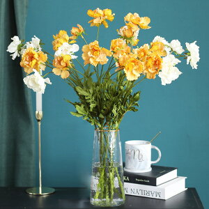 北歐風格裝飾玻璃花瓶 家居裝飾佈置桌面擺件花瓶花藝玻璃花瓶