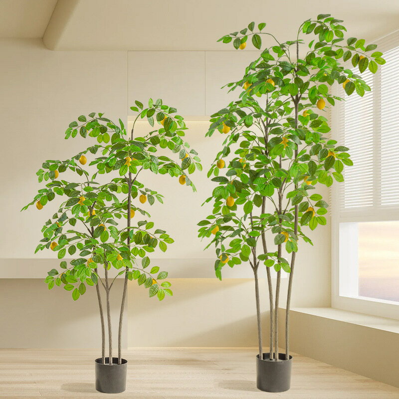 模擬綠植 發財樹 仿真植物 盆栽 盆景北歐風模擬綠植檸檬樹盆栽擺件室內客廳裝飾假植物盆景假樹模擬樹