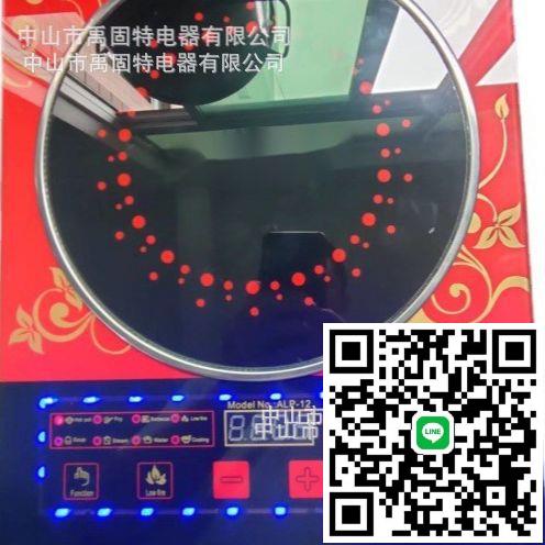 110V電磁爐110V電陶爐多功能電池爐灶induction cooker