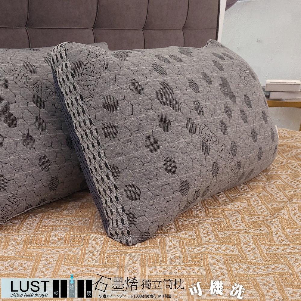 【LUST】可水洗/石墨烯/獨立筒枕 臺灣製造 水洗枕頭 飯店枕頭 天絲枕頭 民宿枕