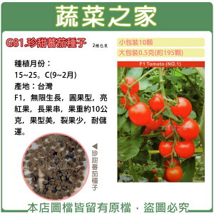 【蔬菜之家】G81.珍甜蕃茄種子(共有兩種包裝可選)