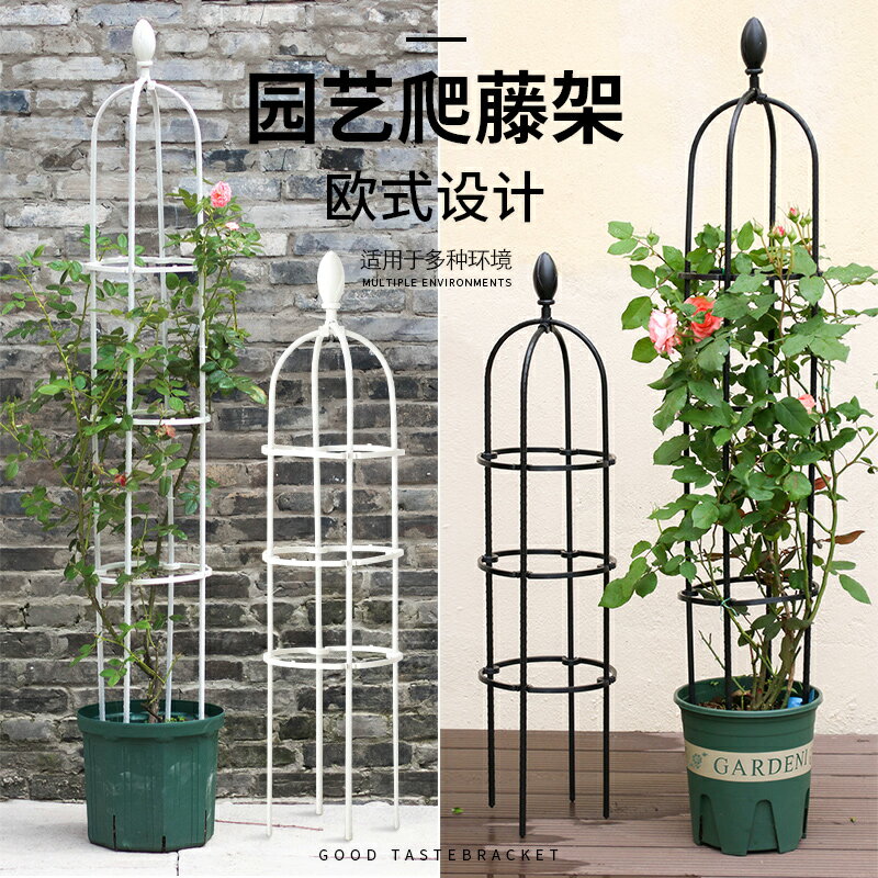 花盆支架植物爬藤架白色歐式園藝攀爬支架陽臺鐵線蓮月季花支架