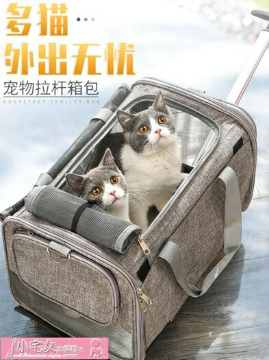 寵物包 貓包外出便攜大號外出包貓咪行李箱籠子出行大容量兩只寵物拉桿箱 可開發票 母親節禮物