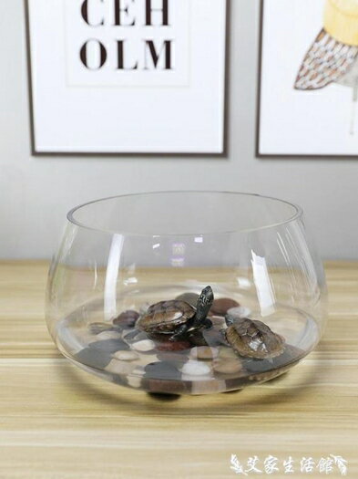 烏龜缸魚缸玻璃圓形辦公桌綠蘿水培家用小魚創意透明小型迷你桌面烏龜缸 可開發票 母親節禮物