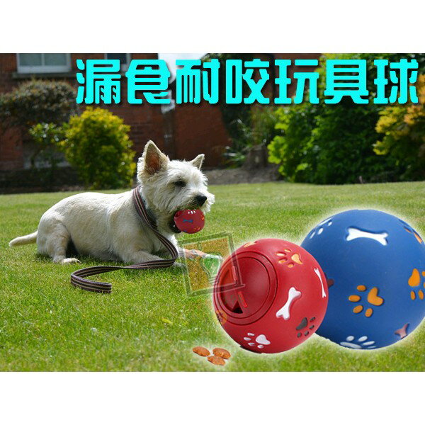 ORG《PT0028》耐玩~2款 漏食球 漏零食 玩具球 寵物玩具 狗用玩具 狗玩具 寵物用品 抗憂鬱 安撫玩具 慢食球
