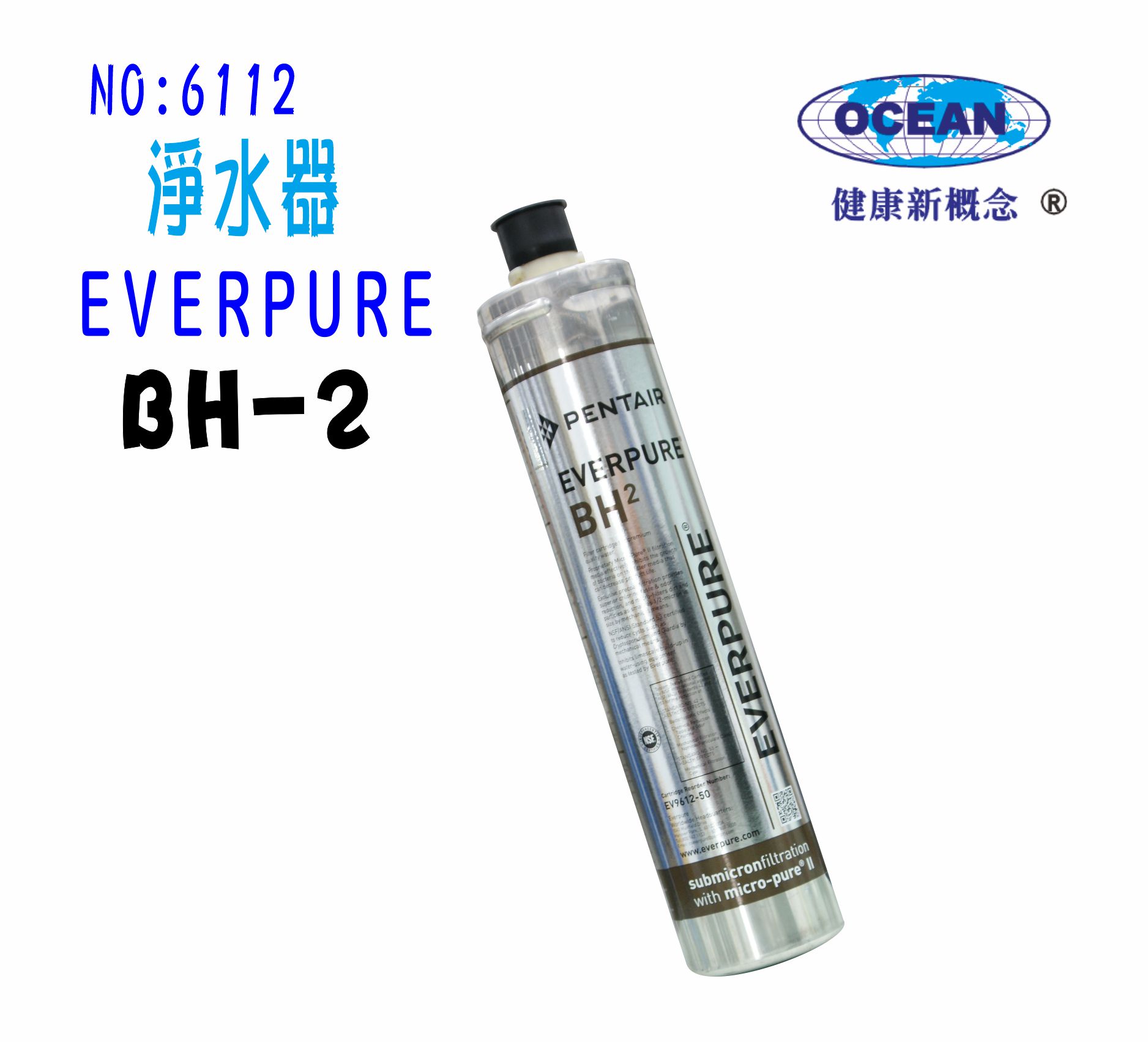 BH2過濾器Everpure淨水器. 另售S100、S104、H104、4C濾水器貨號:6112【七星淨水】