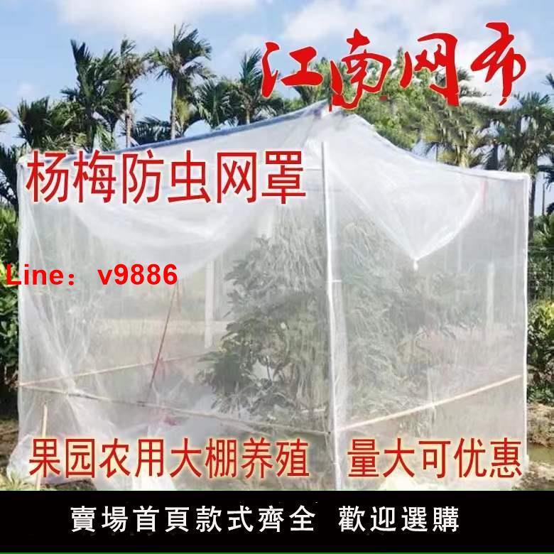 【臺灣公司 可開發票】楊梅網罩水果樹網罩防蟲蓮霧藍莓網桃樹防鳥網網罩大棚網罩蚊帳