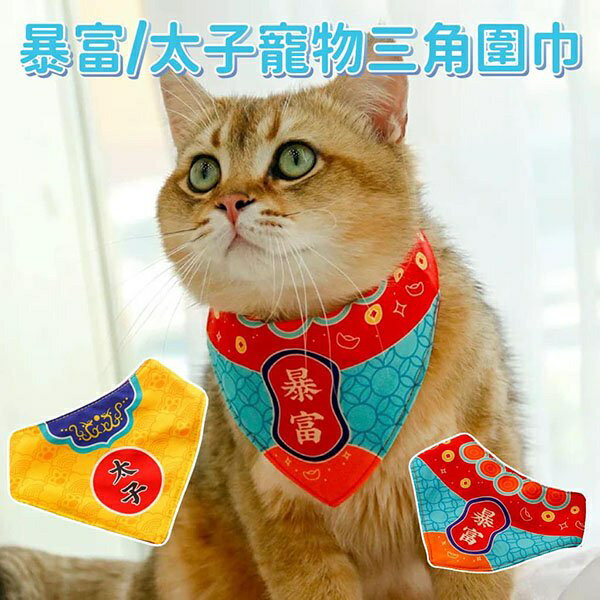 『台灣x現貨秒出』太子/暴富寵物三角圍巾 寵物領巾 寵物項圈 貓咪項圈 貓領巾狗領巾