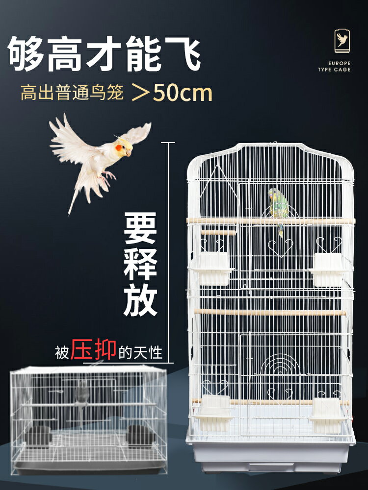 鳥籠鸚鵡籠子家用大號別墅大全大型豪華特大繁殖籠虎皮玄鳳專用籠 小山好物嚴選
