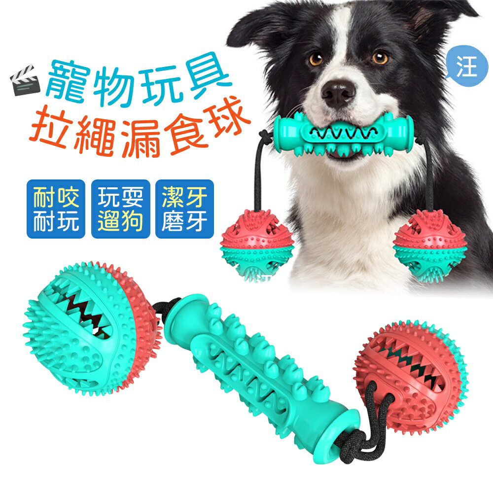 寵物玩具 啞鈴拉繩球(顏色隨機)