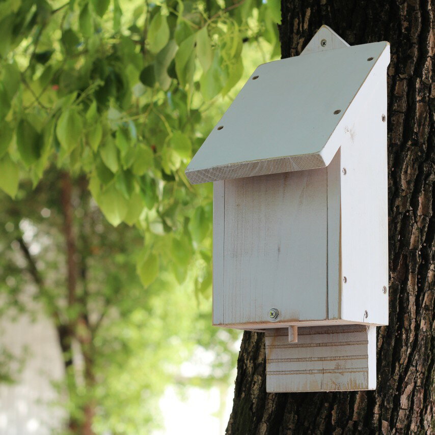 喜納英式蝙蝠屋庭院花園科普木制玩具生物保護用品自然生態體驗
