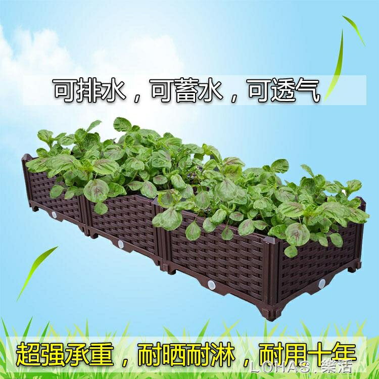 家庭環保蔬菜種植箱 特大陽台種菜盆 長方形塑料花箱種花盆 樹盆領券更優惠