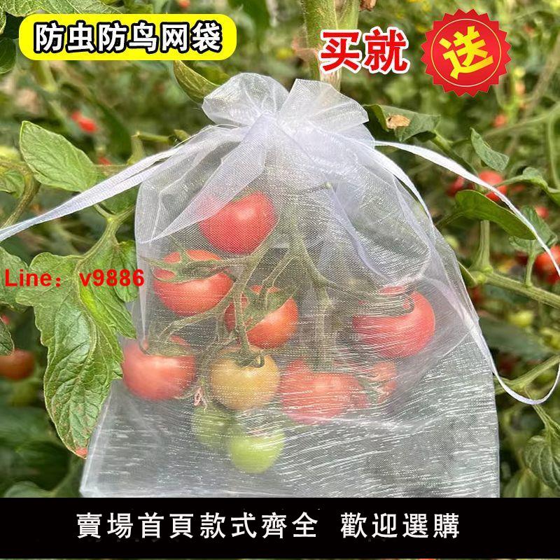 【臺灣公司 超低價】防蟲防鳥草莓保護套袋透水透氣防蟲紗網袋葡萄無花果番茄枇杷套袋
