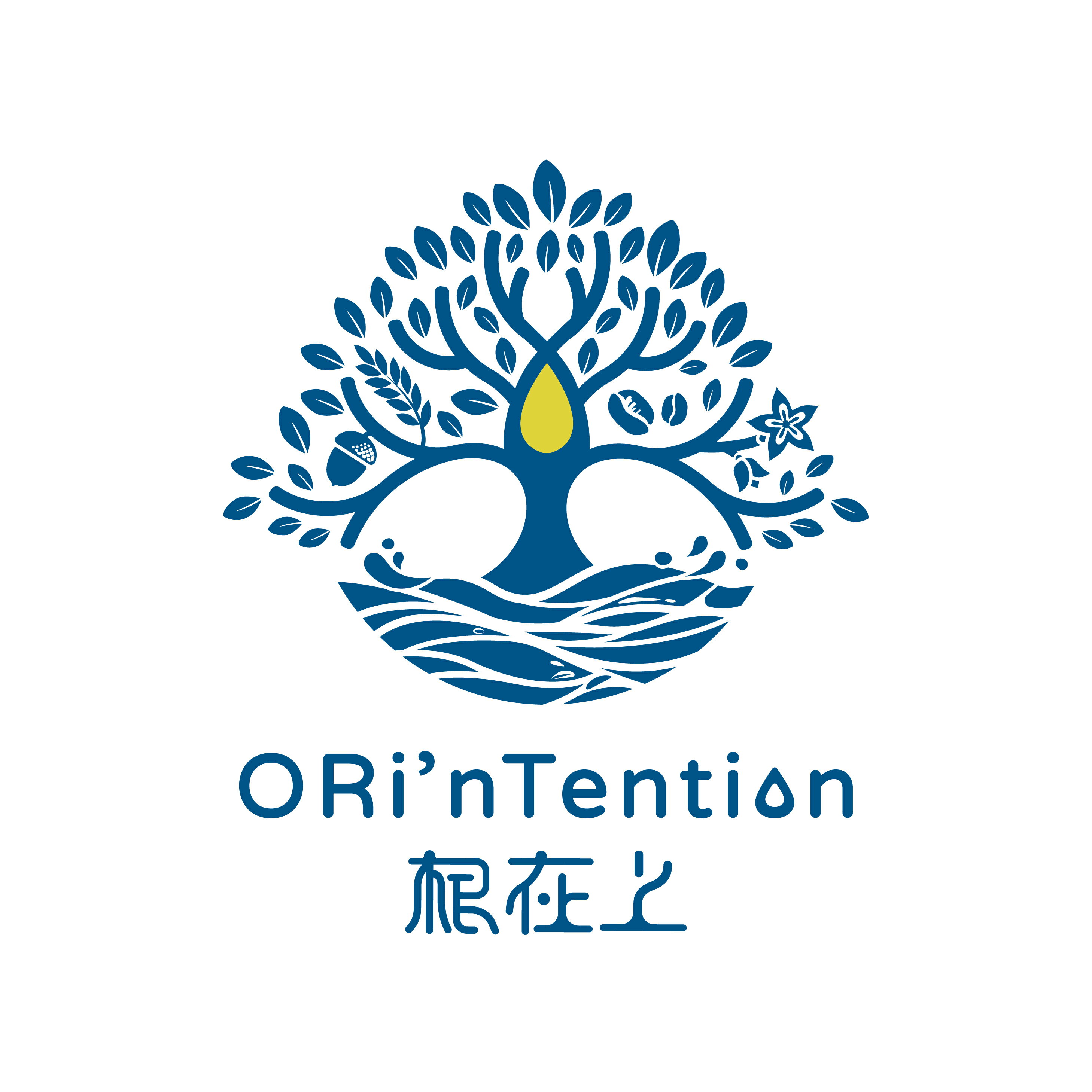 根在上