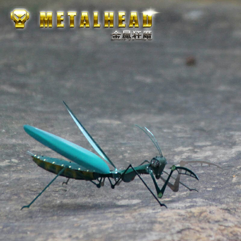 金屬DIY拼裝模型3D立體拼圖 彩色機器昆蟲螳螂蜻蜓蜘蛛蝎子玩具