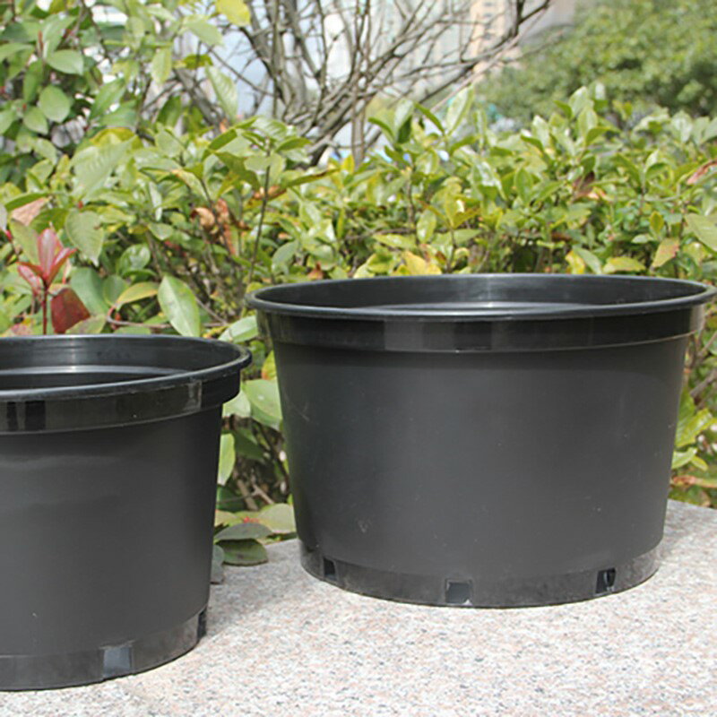 黑加侖盆塑膠圓形花盆花卉綠植盆栽定植盆容器特大耐用花盆