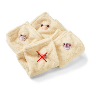 日本空運 YOU+MORE! 埋在木屑中睡覺 天竺鼠 倉鼠系列 手帕 方巾 毛巾