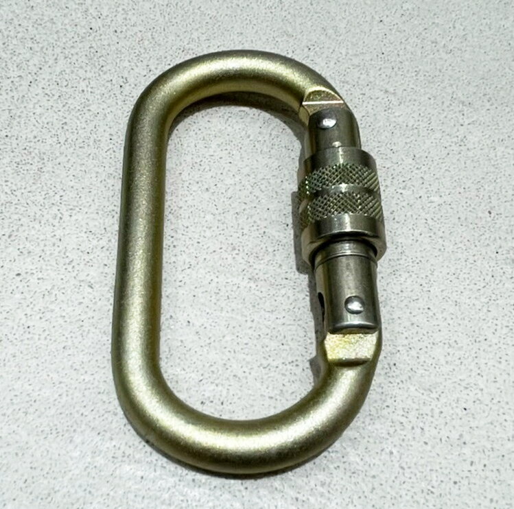 DMM 10mm Steel OVAL Screwgate Gold O型鉤環/高拉力O型環 C452 淡金色 5