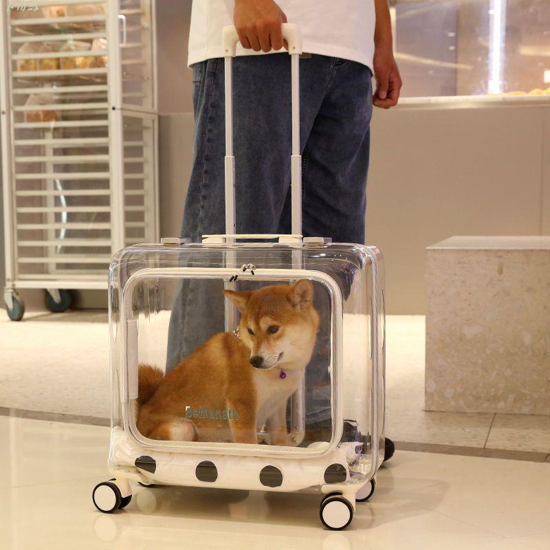 貓包太空艙透明寵物外出便攜旅行小推車貓拉桿箱狗狗行李箱大容量