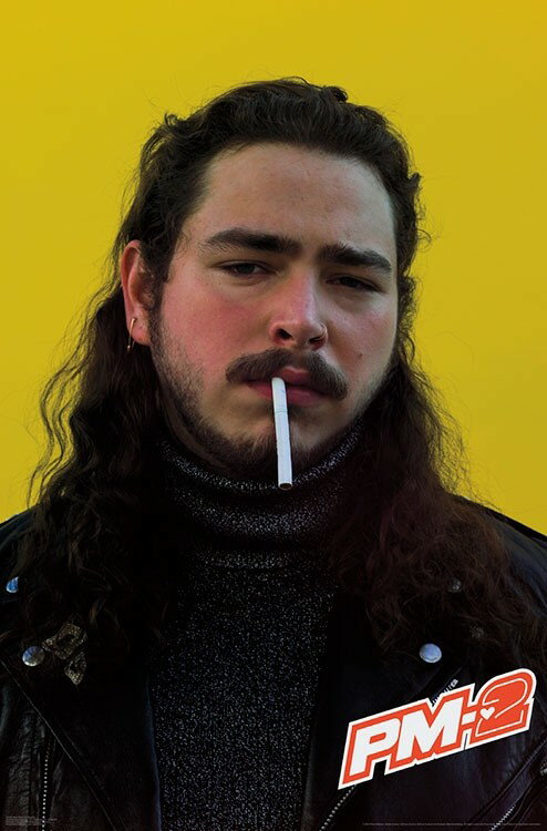 Posterazzi: Post Malone - Smoke Laminated & Framed Poster Print (22 x ...