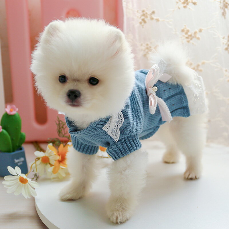 狗狗衣服春秋款泰迪比熊博美冬裝毛衣裙子秋冬寵物貓咪小型犬秋裝