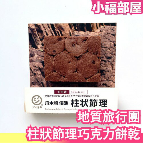 【奇特零食系列】日本原裝 地質旅行團 柱狀節理巧克力餅乾 1入 惡搞 零食 點心 餅乾 巧克力 威化餅 菓子 零嘴 宵夜【小福部屋】