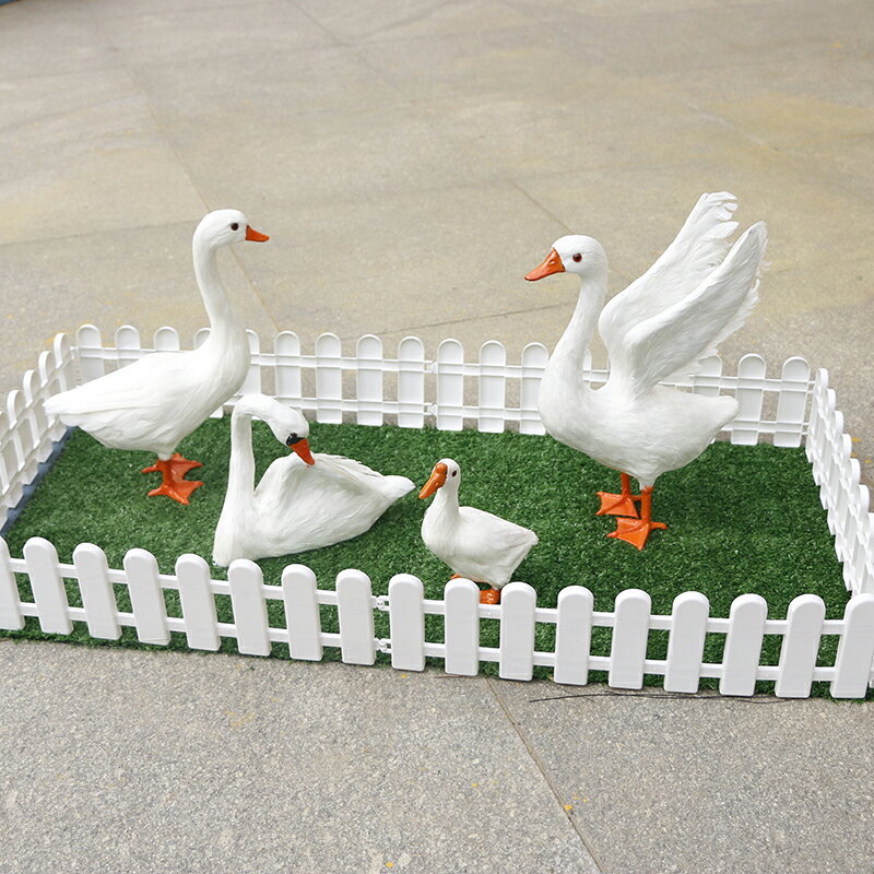 仿真鵝模型動物標本大白鵝室內園林裝飾品鵝擺件攝影拍照道具鴨子 3